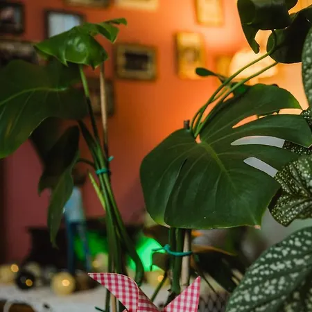 Apartamento Voula Guesthouse,