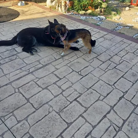 Voula Guesthouse, Esparta